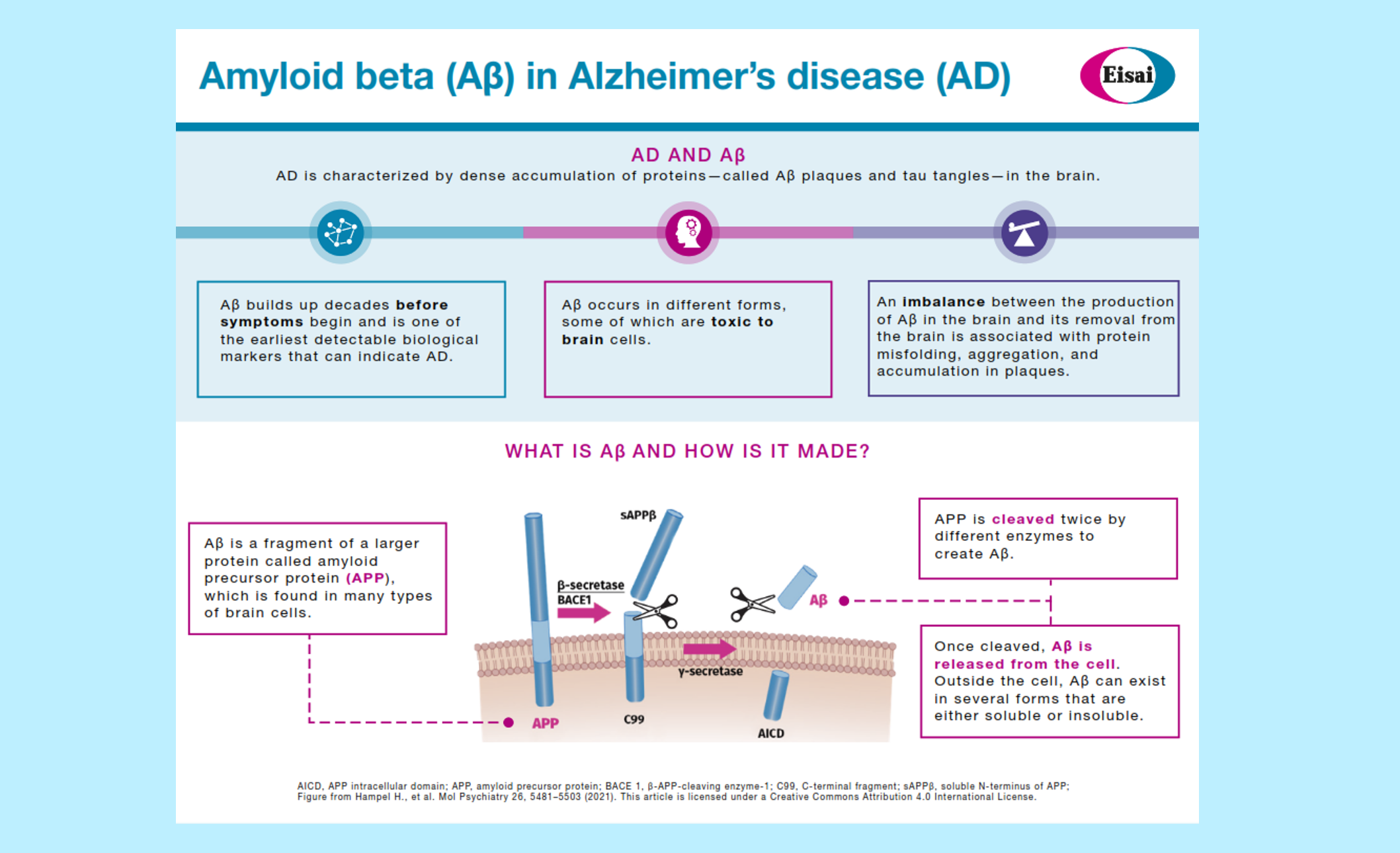 Infographic Abeta