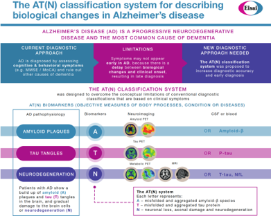 ATN Criteria